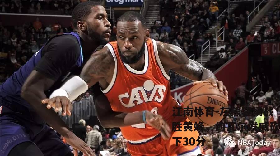 灰熊客场战胜黄蜂，约瓦尔发威砍下30分