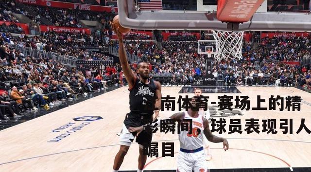 赛场上的精彩瞬间，球员表现引人瞩目
